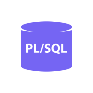 Online kurz PL/SQL