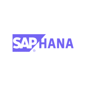 Online kurz SAP HANA Cloud