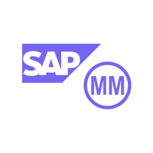online kurz SAP MM