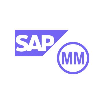online kurz SAP MM